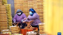 17c吃瓜回家的路精彩瞬间胡桃大战史莱姆1080p带你领略超高画质的热血对
