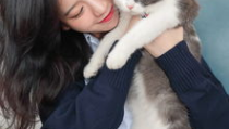 ai猫咪小姐姐,智能宠物的未来魅力