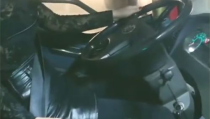 小姐姐卖鱼苗,小姐姐的鱼苗生意经